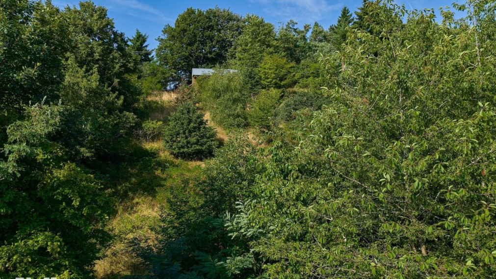 Neibrs | 1100m2 - Rača - výhľad na Bratislavu, dva vstupy na pozemok, vedľa lesa