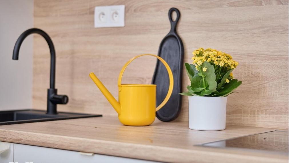 Neibrs | predaj (2) izbový byt s balkónom (kompletne zariadený) v zrekonštruovanej historickej budove na Palisádach v Bratislave