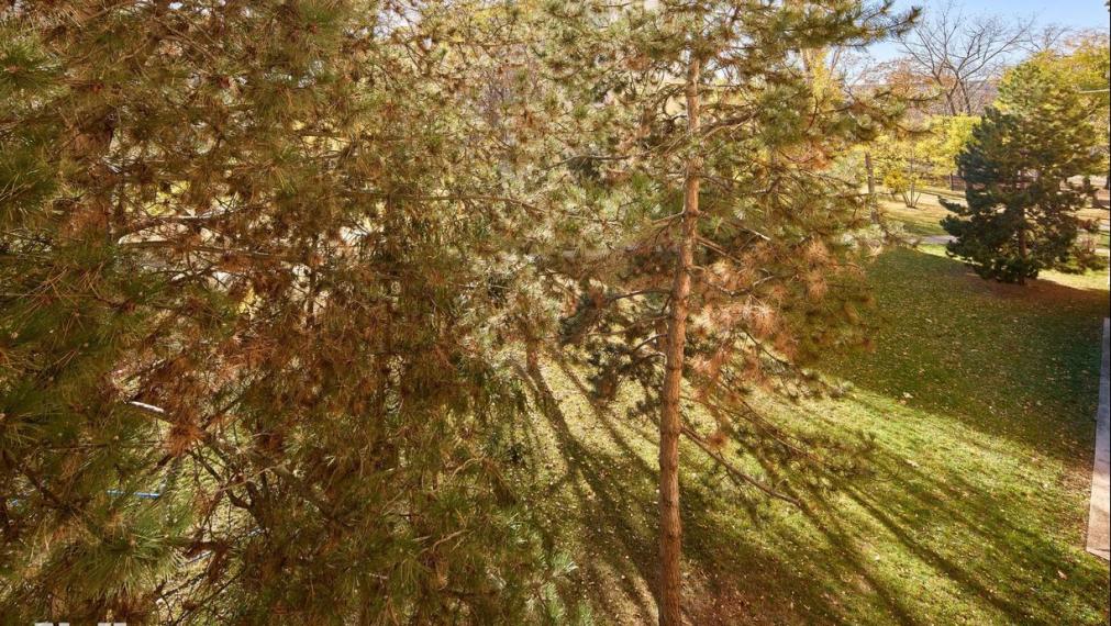 Neibrs | (3,5) izbový byt s loggiou v tichej a zelenej časti Ružinova – Mesačná ulica