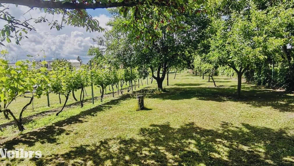 Neibrs |  Veľký 5izb RD, 2549m2 pozemok, kanalizácia, stodola, dielne, garáž, 