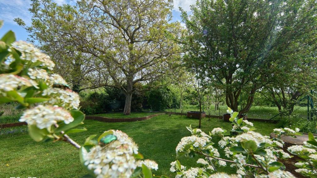 Neibrs | REZERVOVANÉ- 513 m2 záhrada, 4 izb RD  samostatný, garáž, altánok, v dome krb