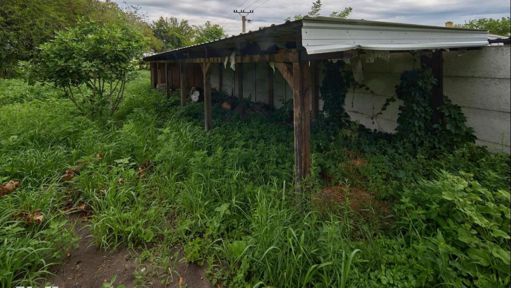 Neibrs | Exkluzívne na predaj pozemok na stavbu rekreačej  chaty, 811m2,  asfaltová prístupová cesta, voda, elektrina, Devínske jazero, Bratislava