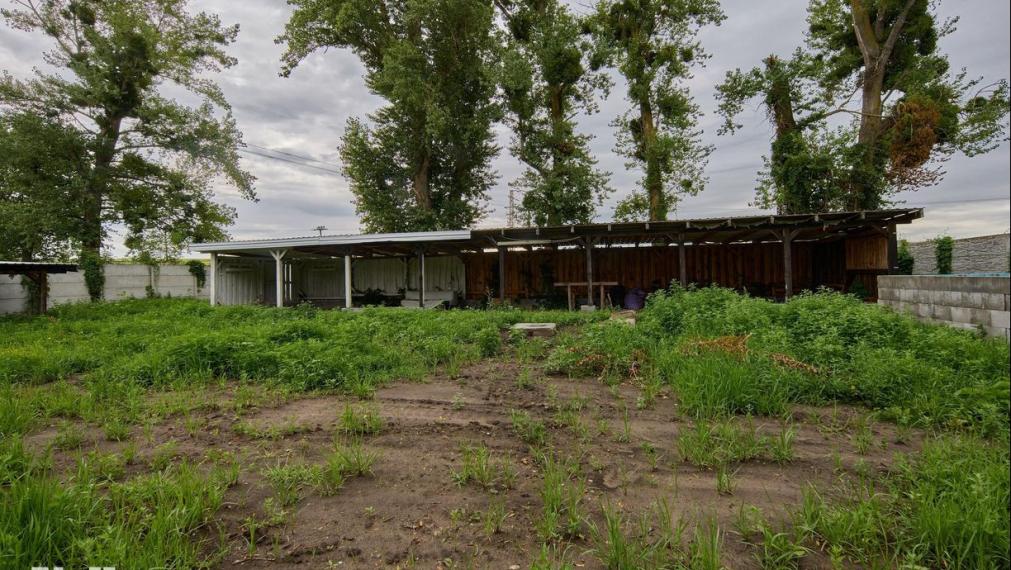 Neibrs | Exkluzívne na predaj pozemok na stavbu rekreačej  chaty, 811m2,  asfaltová prístupová cesta, voda, elektrina, Devínske jazero, Bratislava