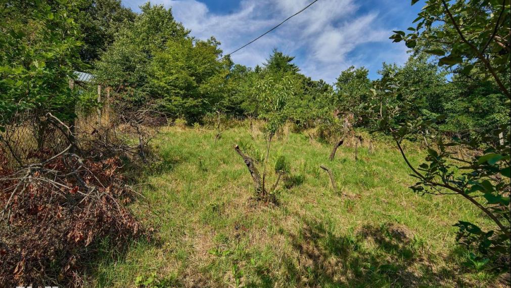 Neibrs | 1100m2 - Rača - výhľad na Bratislavu, dva vstupy na pozemok, vedľa lesa