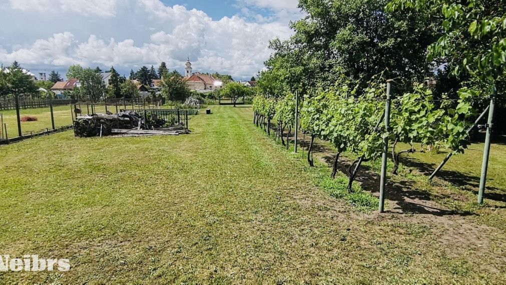 Neibrs | Na predaj 5izb RD s príslušenstvom, stodolou, kanalizácia, s veľkým pozemkom 2549 m2