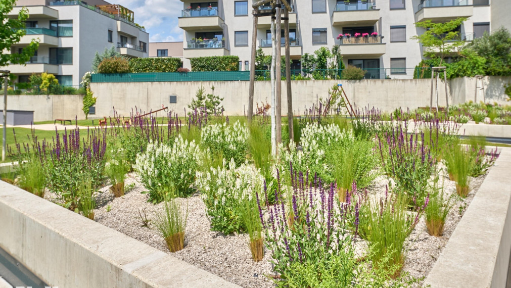 Neibrs | LIVANA- Priestranný 3 izb. byt s balkónom, 2x Parking v garáži