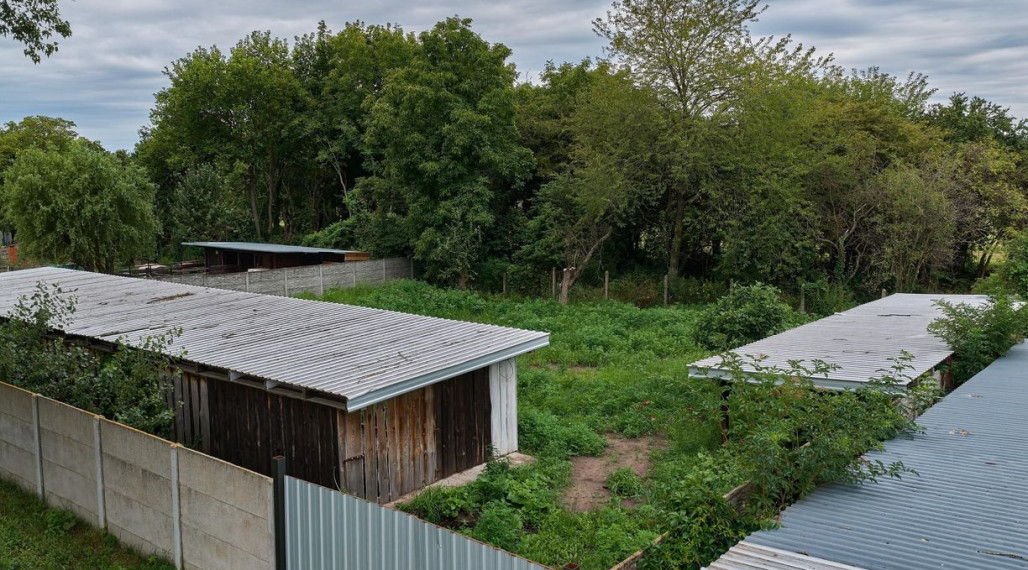 Neibrs | Exkluzívne na predaj pozemok na stavbu rekreačej  chaty, 811m2,  asfaltová prístupová cesta, voda, elektrina, Devínske jazero, Bratislava