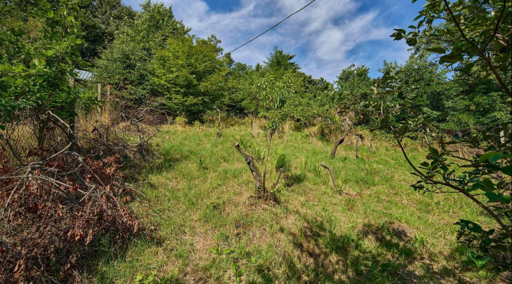 Neibrs | 1100m2 - Rača - výhľad na Bratislavu, dva vstupy na pozemok, vedľa lesa